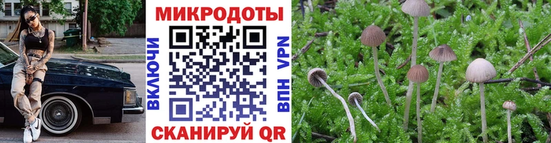 Псилоцибиновые грибы ЛСД  ссылка на мегу ссылка  сайты даркнета наркотические препараты  закладка  Таштагол 